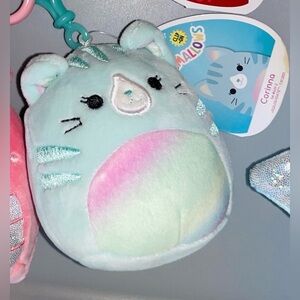 🐱 Corinna the cat Squishmallows clip